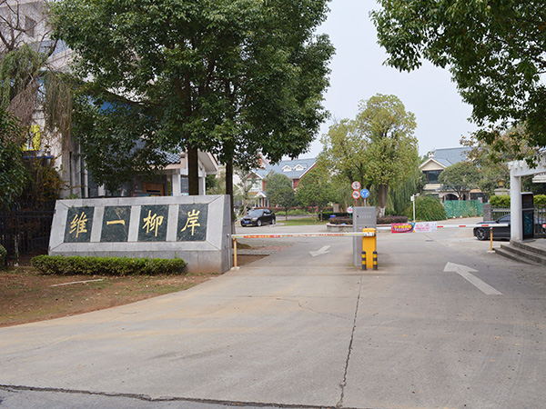 維一柳岸