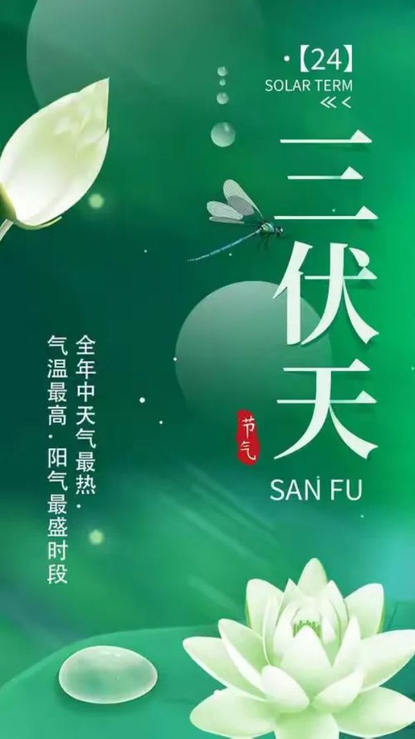 常德市康都物業(yè)服務有限公司,常德保安服務公司,保潔服務,墻外高空清洗服務